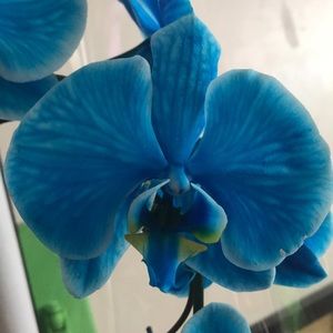 Meet your Posher, Maribel